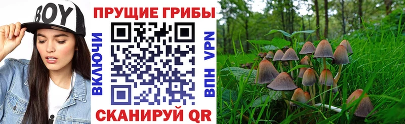 Галлюциногенные грибы прущие грибы  магазин  наркотиков  Боровск 